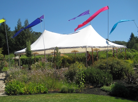 24?x44? Tent