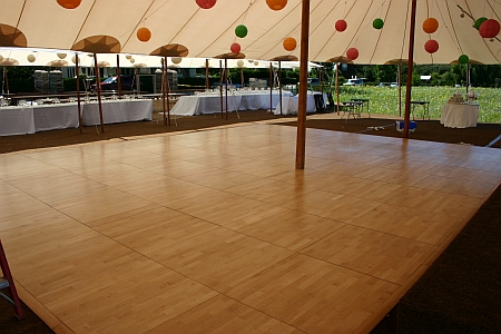 dancefloorrobinson.jpg