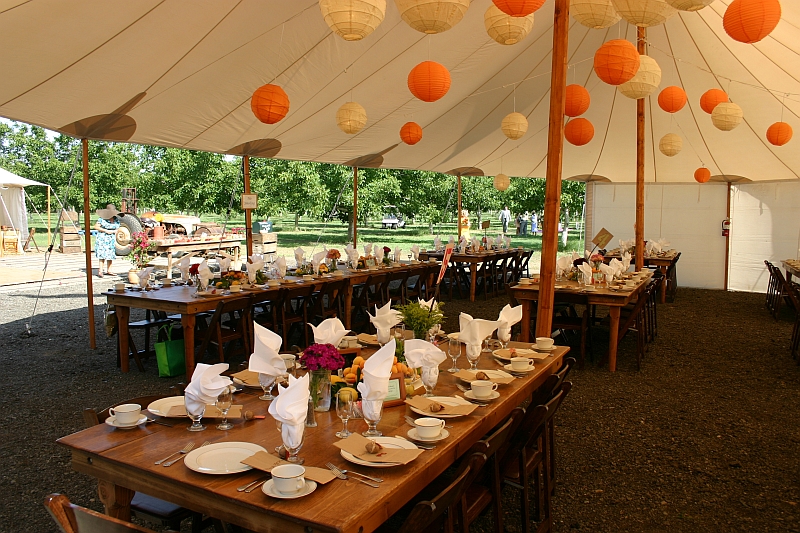 farm-tables-in-tent