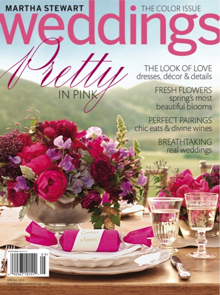 msw spring 2010 cover