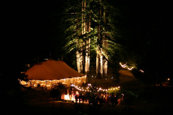 wedding tent in the Redwoods