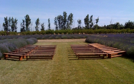 ceremony-benches-bear-flag